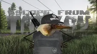 Так, Вайп (Escape From Tarkov)