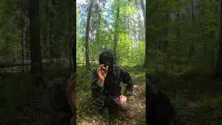 Зачем нужна жевачка в лесу? #выживалыч