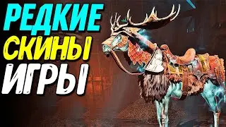 Как получить СКИНЫ НА ЛОШАДЬ в Diablo 4