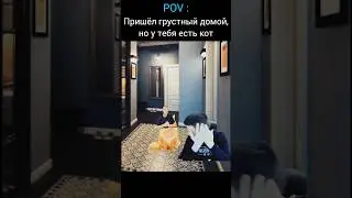 Пришёл грустный, но у тебя кот | меллстрой