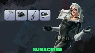 New Black Cat skin leaked in Fortnite
