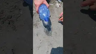 OMG! 😆 Beach LifeHack 😳  