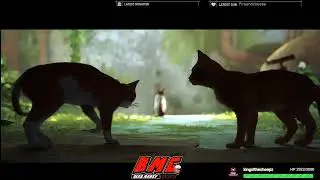 Let's be a cat