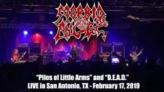 Morbid Angel 