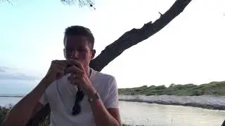 The spider and the fly (The Rolling Stones) harmonica tab (diatonic key of A)