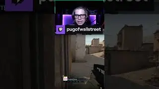 Big Brain Team Killed Pug IRL | pugofwallstreet on #Twitch