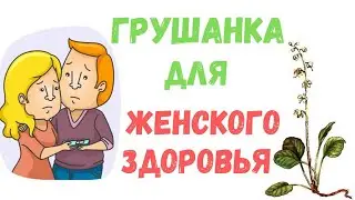 Грушанка лечебные свойства и противопоказания для женского здоровья
