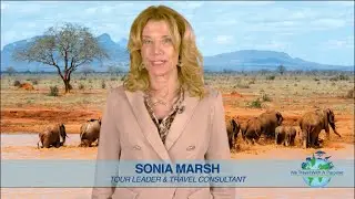 Small group travel for baby boomers to Africa and Europe