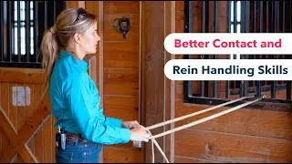 5 Minute Exercises for Better Contact and Rein Handling Skills