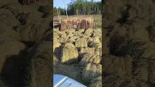 Пока что, сколько привезли сено #верхневилюйск #урал #газельсприцепом #газельбизнес #газель #хайс