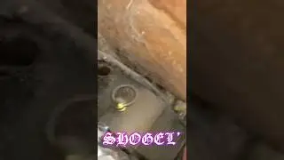 ту би континиу.. #shorts #мем #мемы #либис #а4 #влада4
