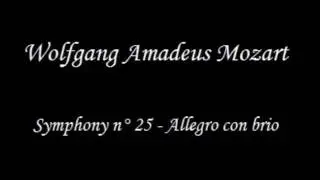 Mozart - Symphony N° 25: Allegro con brio
