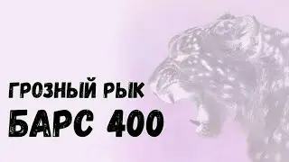 Обзор СГУ Барс 400 со стробами Элект Квазар-4