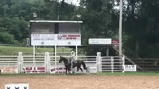 Duchess: Arena Work 30 June 2021 #3