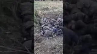 Азербайджанский солдат говорит за Ходжалы отомстили 