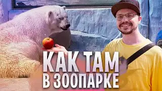 WHAT TO SEE AT THE ZOO IN SUMMER | YEKATERINBURG | VLOG