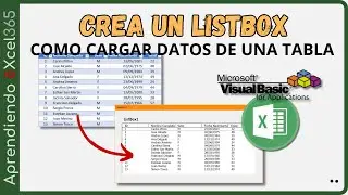 Como poner Datos en un ListBox en #vba #visualbasic