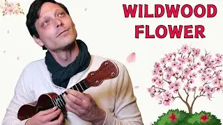 Learn a Fun Folk Song Played Entirely with Clawhammer Technique on Ukulele! || "Wildwood Flower"