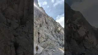 Himalayan Ibex, Passu Gojal