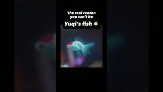 NO! YOU CANNOT BE YUQI’S FISH! 😳😭 #yuqi #gidle #gidle_ido