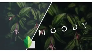 How To Edit Text Behind Object Photo Editing In Snapseet || Snapseet Editing