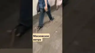 #moscow #travel #russian #shorts #YouTubeshorts #столицамира #московскийтранспорт #метро