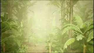 UE4   Basic Jungle Pack