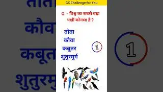 विश्व का सबसे बड़ा पक्षी कोनसा है? #youtubeshorts #gk #gkinhindi #gkintresting