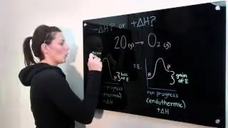 Exothermic or Endothermic