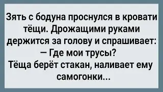 Как Зять После Пьянки с Тещей Проснулся! Сборник Свежих Анекдотов! Юмор!
