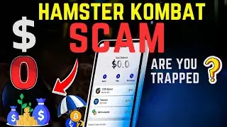 The Truth About HAMSTER COMBAT: Is It a Scam?