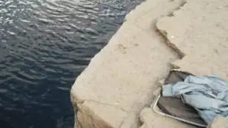 SAM 0241