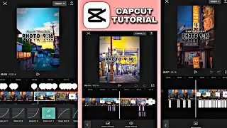 DJ SANI SALTING REMIX | Tiktok | Capcut | Niel Official TV