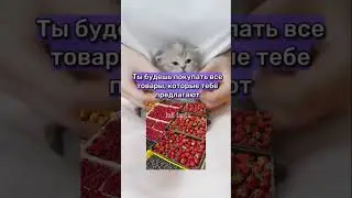 ЧТО БУДЕТ, ЕСЛИ ВСЕГДА ГОВОРИТЬ ДА