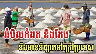 អំបិលកំពត-កែប នឹងមានទីផ្សារទៅក្រៅប្រទេស - Cambodia Salt Will Bring to Abroad