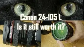 Canon 24-105mm f4 USM L Lens Review - With Photos