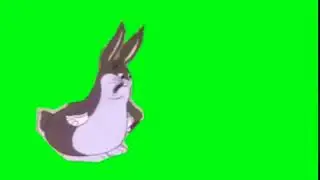 Big Chungus “Green Screen Effect”