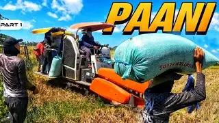 P1 - Paani ng Palay ni Senior Harabas - EP1564