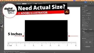 How to Make Something Actual Size in Illustrator (For Print or Screen)