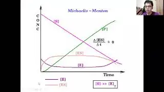 Introduction to Enzyme kinetics