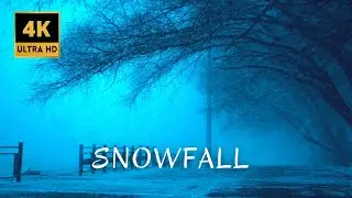 ❄️  RELAX AND TRANQUIL WITH SNOWFALL.  🌨  snowfall, 4K UHD. Find peace amidst the snow. 🌨☃️
