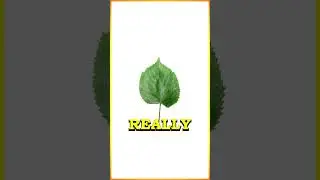 Why Should It GO Through This!!