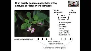 Adam Steinbrenner, University of Washington.  Homing in on immune function: A receptor gene...