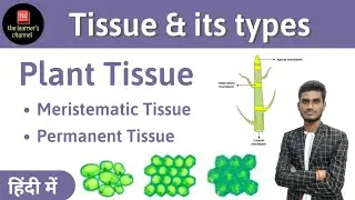 Tissues of All Types