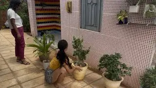 Cleaning and Organizing the Garden