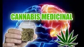 Efectos de la marihuana en epilepticos - 2018