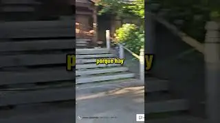 Jordi Gatos #japan #japon #ytshorts #viral