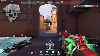 belalipeekv1