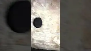 Ловушка и улей с винных бочек