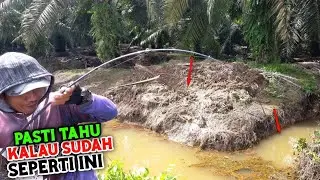 NEKAT NYARI SPOT GAK NYANGKA BISA KETEMU SARANGNYA // CASTING IKAN GABUS